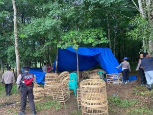 Polres Tulang Bawang Gerebek Dua Lokasi Judi Sabung Ayam di Areal Perkebunan Karet